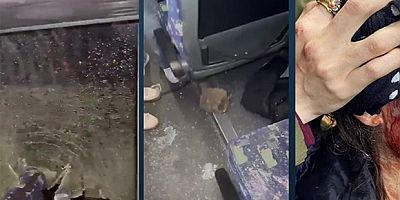 Bodrum’da Amedspor Taraftarına Irkçı Saldırı: Kadın Taraftar Yaralandı, Polis Müdahalesi Tepki Çekti